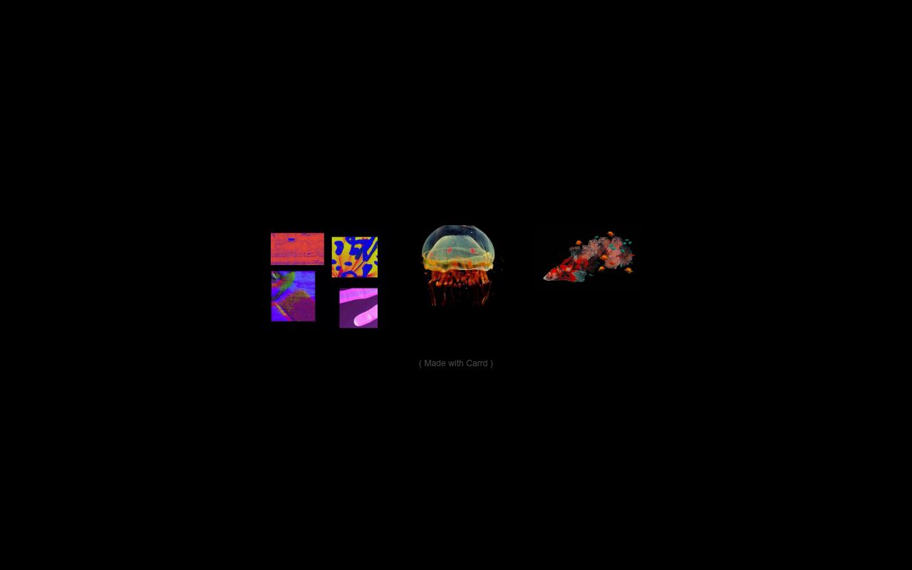 Carrd profile picture for @bacteria